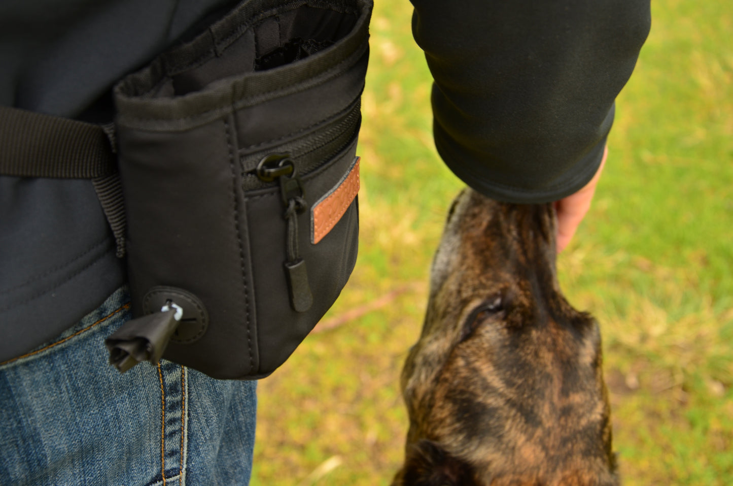 THE DOG TREAT POUCH