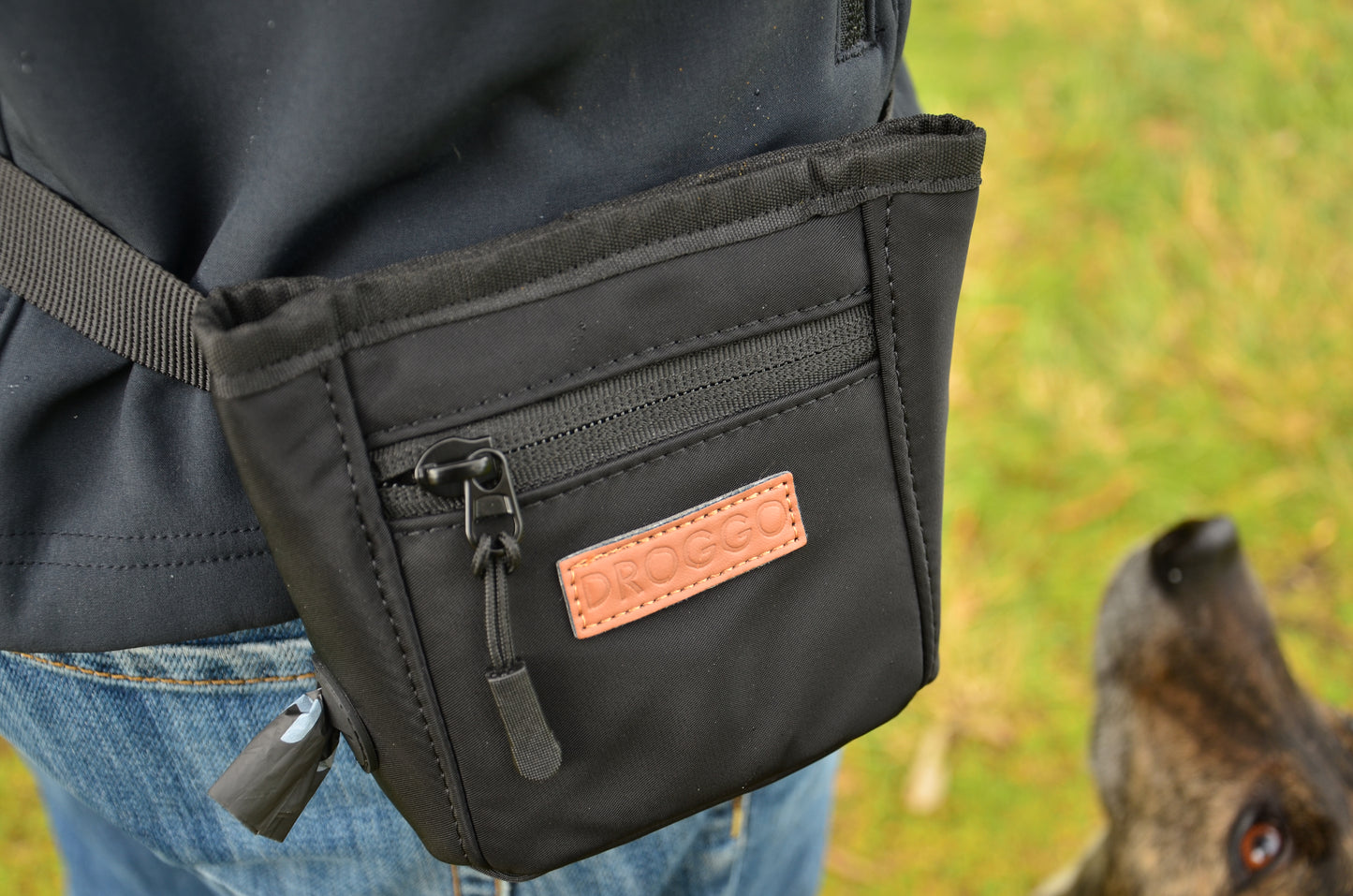THE DOG TREAT POUCH