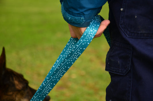 Why Safety Starts with the Leash