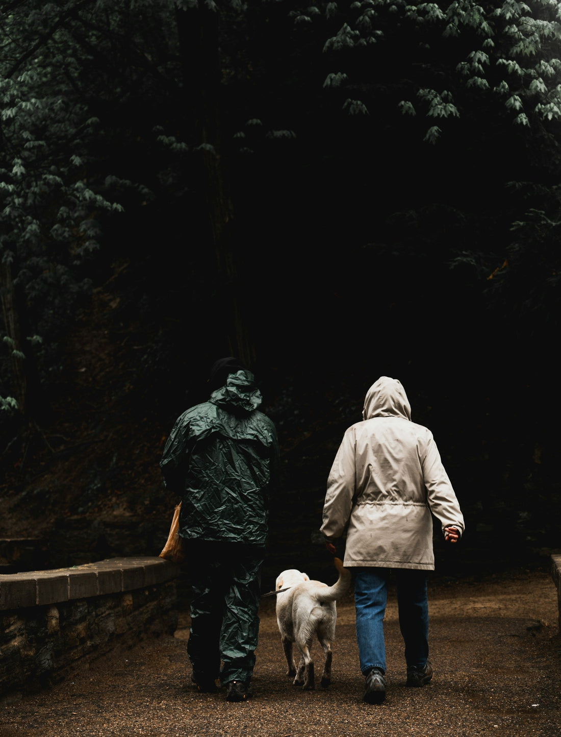 Why Rainy Walks Are Underrated