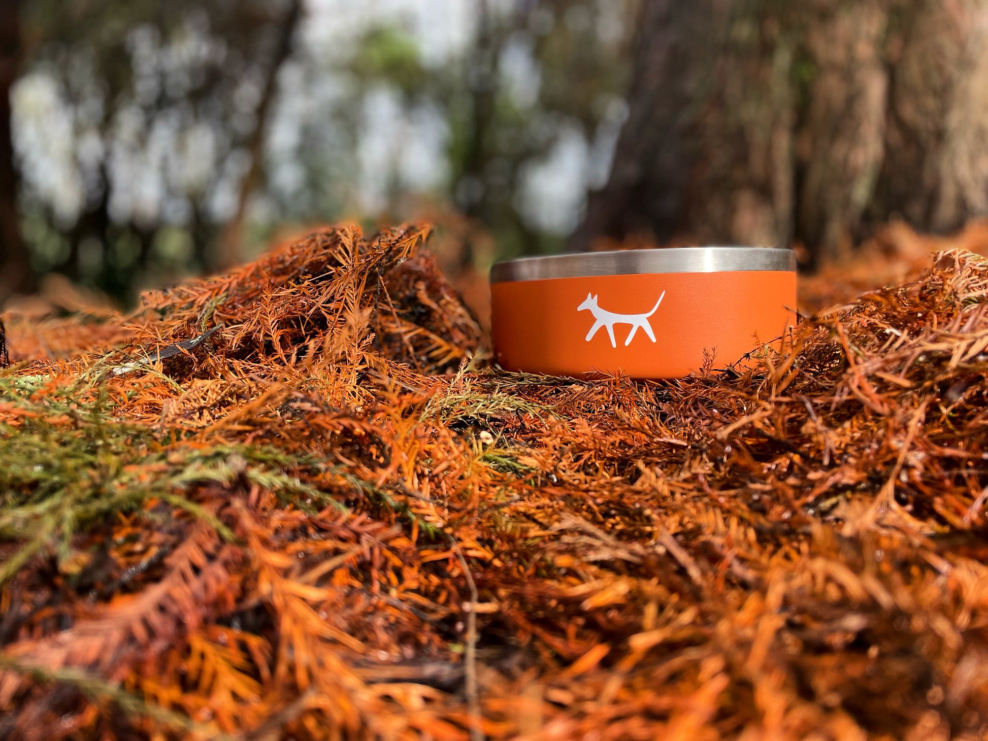 Stainless steel dog water bowl in rust colour with cream Droggo logo on the front. Dog bowl is in a forest ground where the orange and dry leaves matches with the bowl colour.