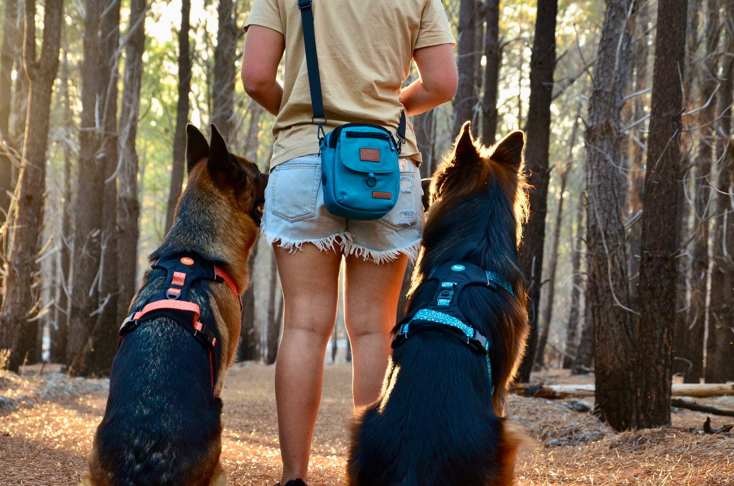 THE DOG HARNESS