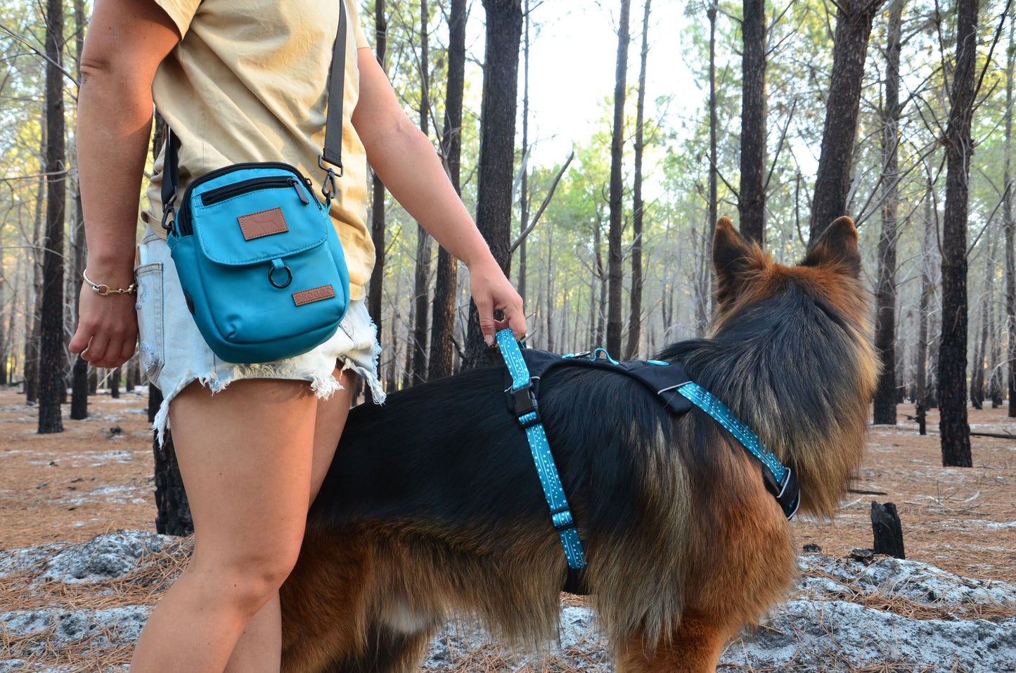 THE DOG HARNESS