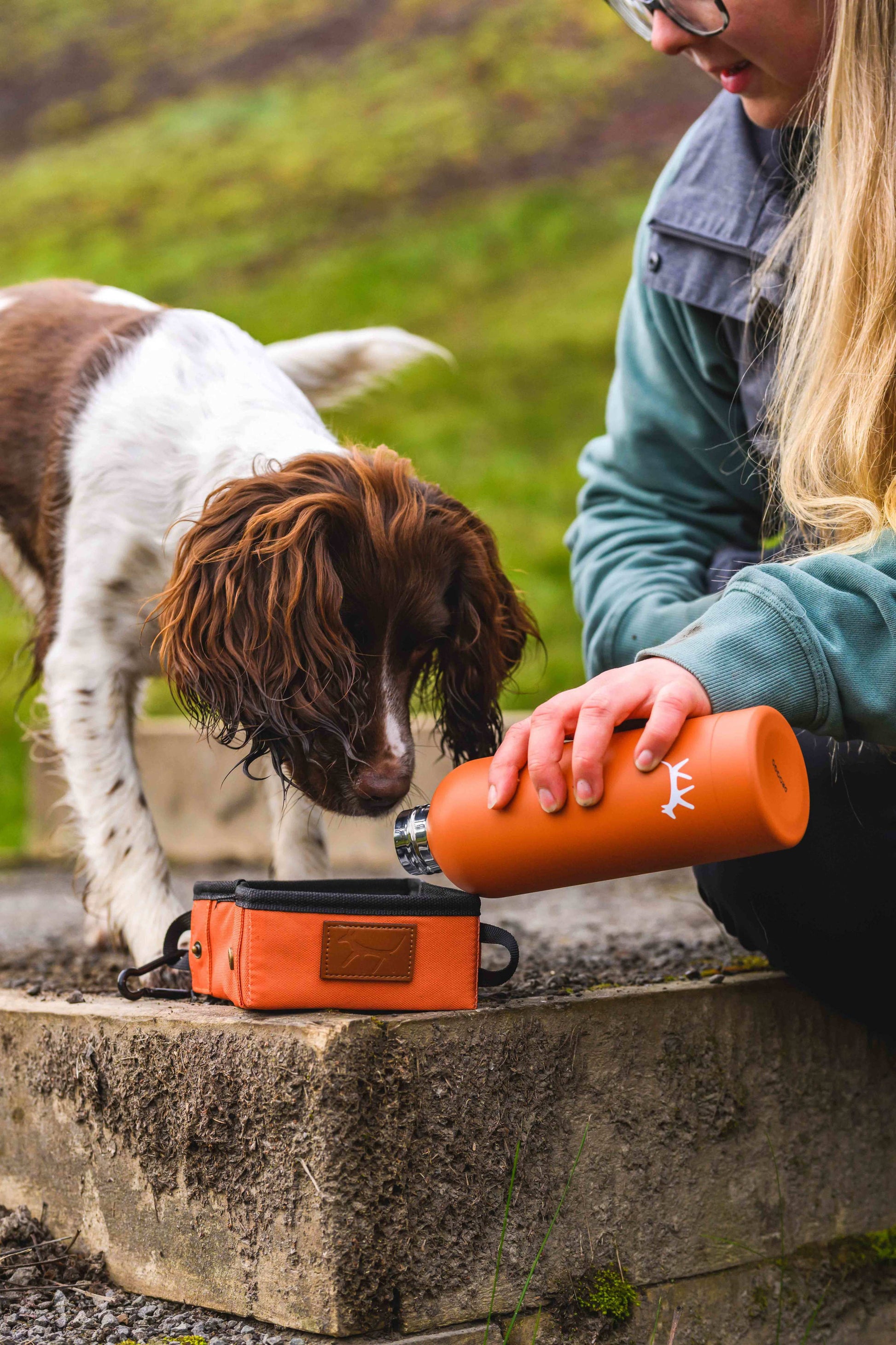 Blond girl pouring water from a rust dog water bottle into a rust dog travel bowl while spaniel dog watches and wait