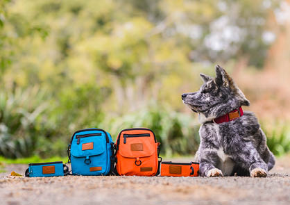 Dog laying down beside dog travel bowl and dog walking bag.