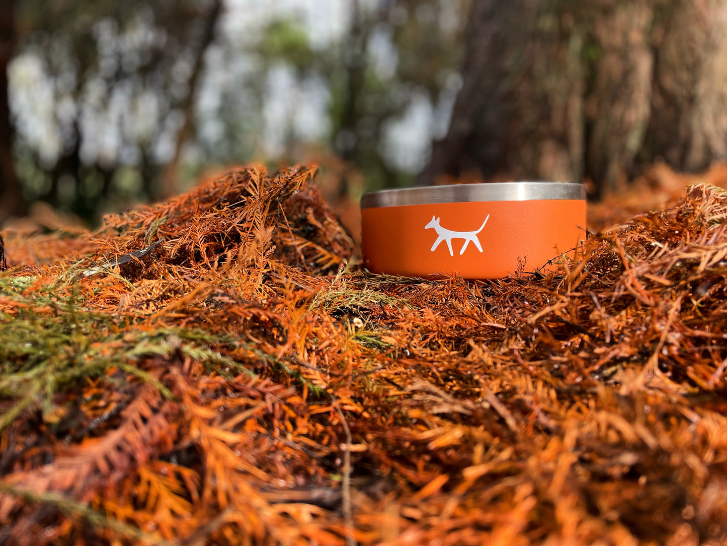 Stainless steel dog bowl in rust colour with cream Droggo logo on the front. Dog bowl is in a forest ground where the orange and dry leaves matches with the bowl colour.