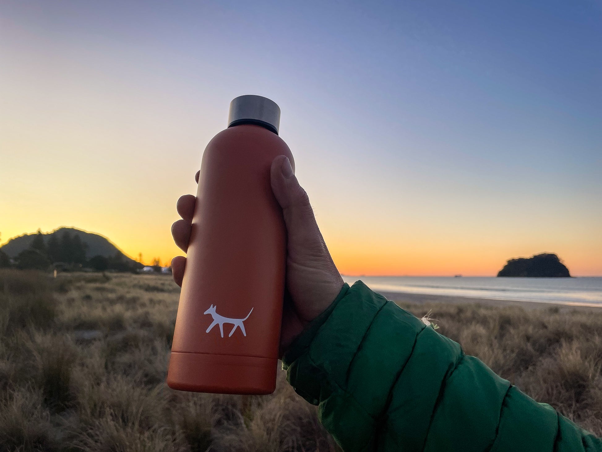 Male hand holding a stainless steel dog water bottle in rust colour with cream Droggo logo on the front. Beachy sunset background.