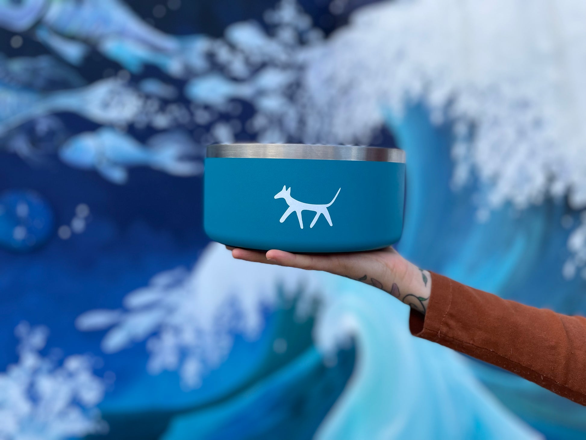 Female hand holding a stainless steel dog water bowl in lake colour with cream Droggo logo on the front. Blue and white mural blurred background.