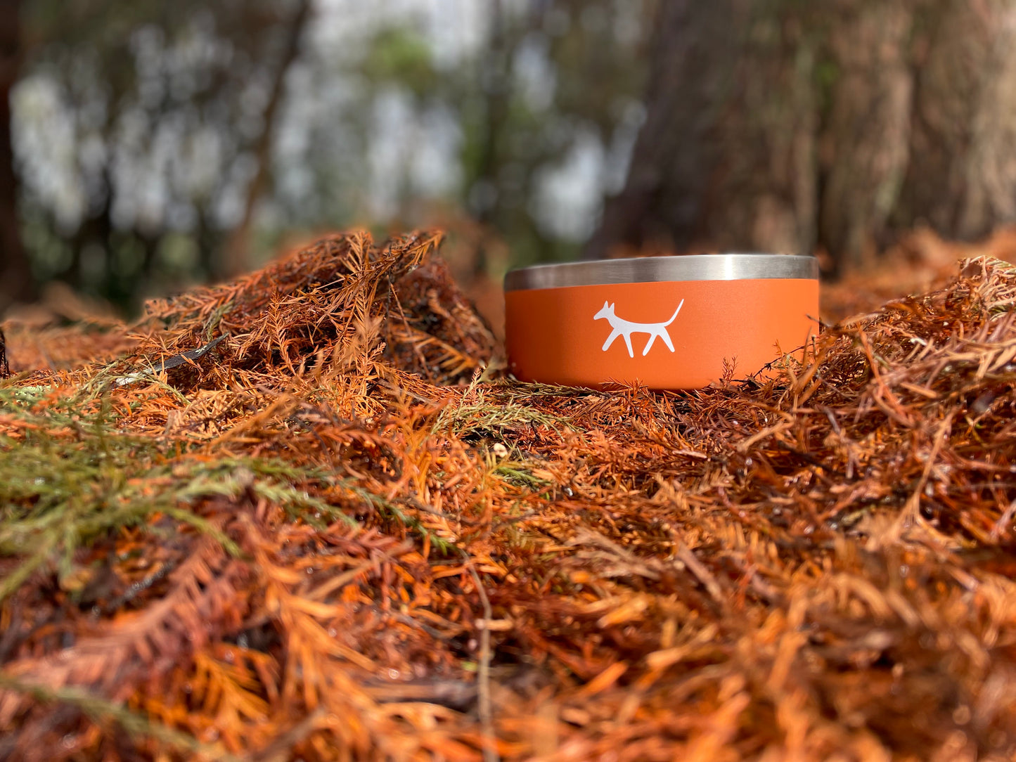 Stainless steel dog bowl in rust colour with cream Droggo logo on the front. Dog bowl is in a forest ground where the orange and dry leaves matches with the bowl colour.